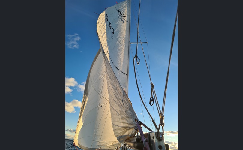 Laurin Koster 32-kuva-18